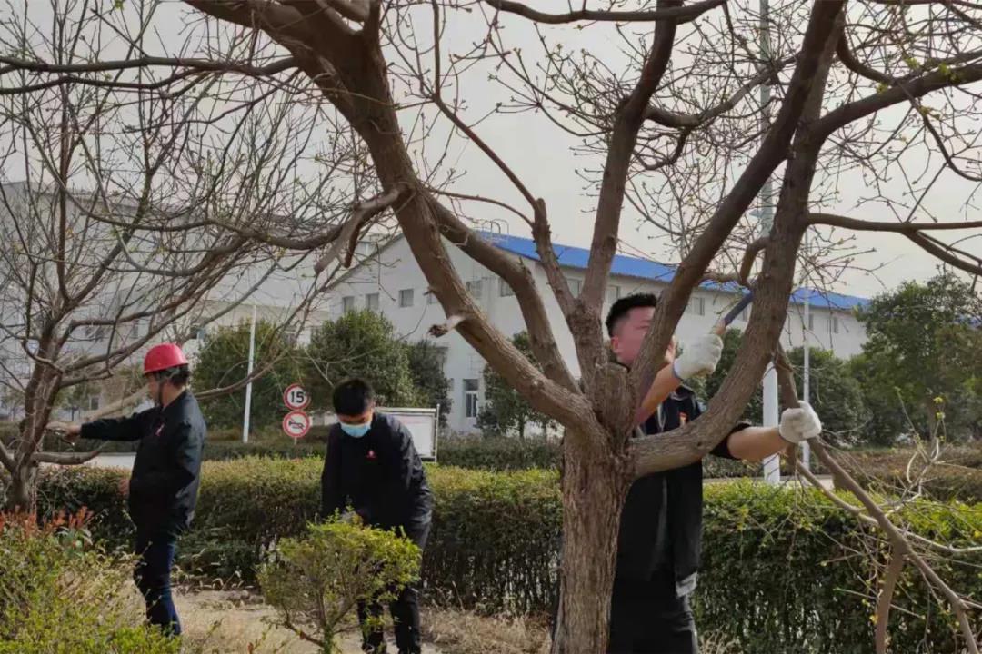 微信圖片_20210320092735.jpg